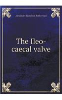 The Ileo-caecal valve