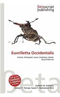 Euvrilletta Occidentalis: (English)
