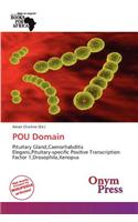 Pou Domain