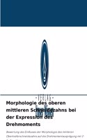 Morphologie des oberen mittleren Schneidezahns bei der Expression des Drehmoments