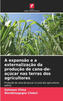 A expansão e a externalização da produção de cana-de-açúcar nas terras dos agricultores