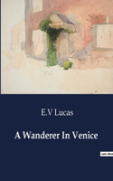 Wanderer In Venice