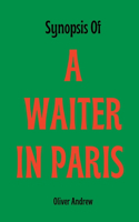 Synopsis Of a waiter in Paris