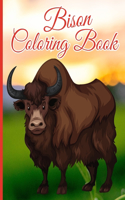 Bison Coloring Book