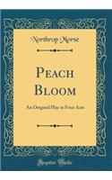 Peach Bloom