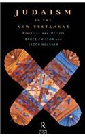 Judaism in the New Testament
