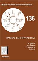 Natural Gas Conversion VI