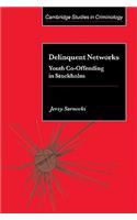 Delinquent Networks