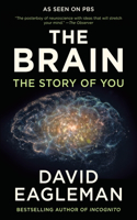Brain: The Story of You