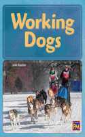 Working Dogs