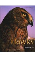 Hawks