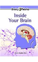 Inside Your Brain
