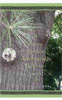 Native American Autobiography Redefined