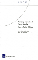 Promoting International Energy Security