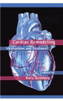Cardiac Remodeling