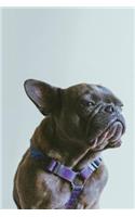French Bulldog Dot Grid Journal: A Blank Dotted Notebook for Frenchie Dog Lovers: Notes, Planning, Journaling, Sketching: Cute Frenchie Cover