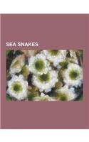 Sea Snakes