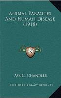 Animal Parasites and Human Disease (1918)