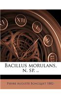 Bacillus Morulans, N. Sp. ..