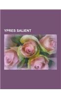 Ypres Salient: Second Battle of Passchendaele, Battle of Messines, Second Battle of Ypres, Battle of Mont Sorrel, Wipers Times, First
