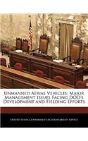 Unmanned Aerial Vehicles: Major Management Issues Facing Dod's Development and Fielding Efforts
