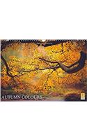 Autumn Colours 2017