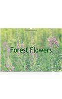 Forest Flowers 2017: Fascinating World of the Forest(Calvendo Nature)