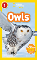 Owls: Owls