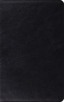 Study Bible-ESV: English Standard Version, Black Genuine Leather