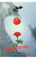 Intrigue of Love