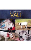 A Calf Named Vali