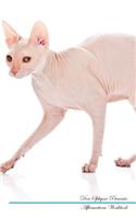 Don Sphynx Affirmations Workbook Don Sphynx Presents