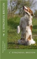 l epagneul breton