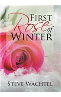 First Rose of Winter