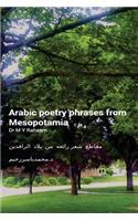Arabic Poetry Phrases from Mesopotamia