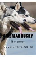 Siberian Husky Notebook: Notebook with 150 Lined Pages