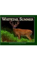 Whitetail Summer