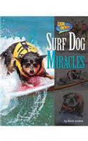 Surf Dog Miracles