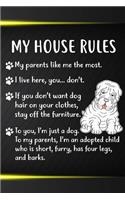 My House Rules: Chinese Shar-Pei Puppy Dog 2020 2021 Monthly Weekly Planner Calendar Schedule Organizer Appointment Journal Notebook For Chinese Shar-Pei Dog Owners