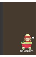 tiny santa helper