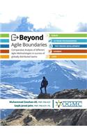 Beyond Agile Boundaries