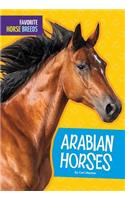 Arabian Horses