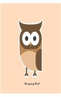 Drawing Pad: Owl Ruled Sketch and Color Sketchbook Gift For Kids
