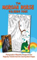 Morgan Horse Coloring Book