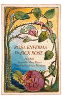 Rosa Enferma / The Sick Rose