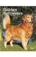 GOLDEN RETRIEVERS 2020 DIARY