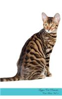 Toyger Cat Presents: Cat Facts Workbook. Toyger Cat Presents Cat Facts Workbook with Journalling, Productivity Tracker with Self Therapy, Journalling, Productivity Track