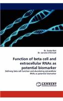 Function of Beta Cell and Extracellular Rnas as Potential Biomarker