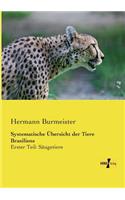 Systematische Übersicht der Tiere Brasiliens: Erster Teil: Säugetiere