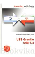 USS Grackle (Am-73)